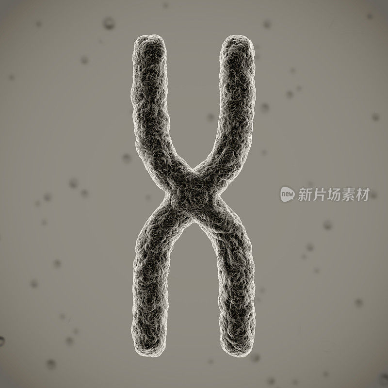 染色体3 d演示